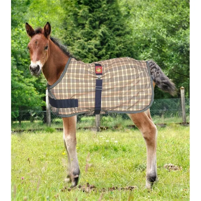 5/A Baker Foal Expand-O Blanket