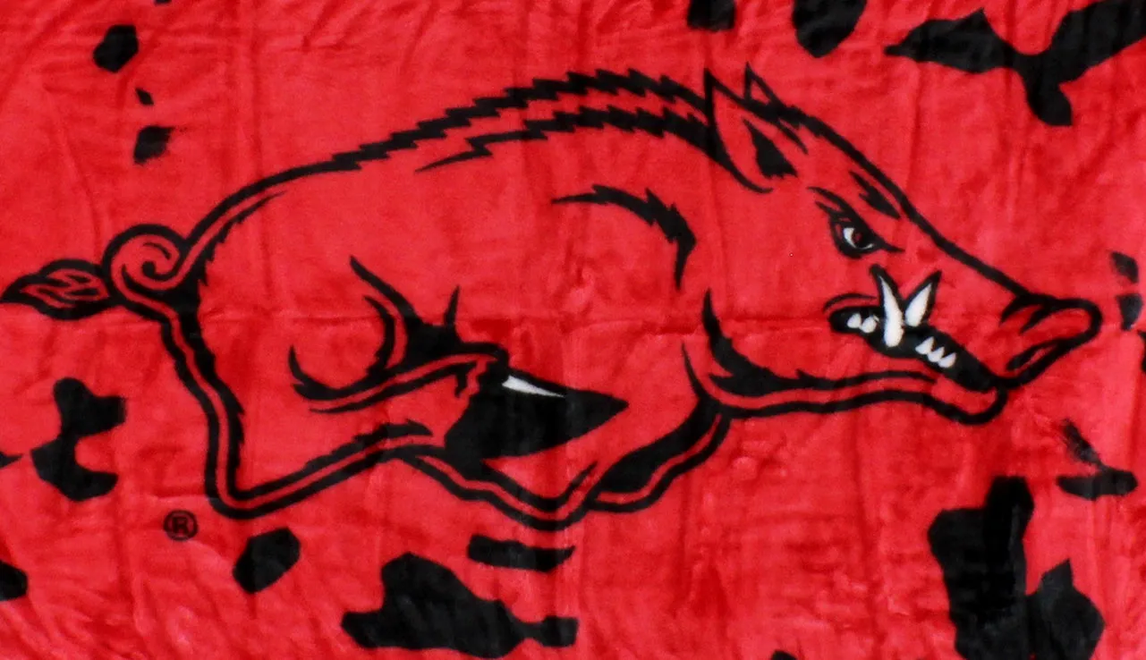 Arkansas Razorbacks Plush Throw Blanket, Bedspread, 86" x 63"