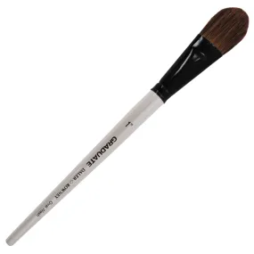 Daler Rowney Graduate Brush Short Handle Pony/Synthetic Oval Wash 1"x25mm