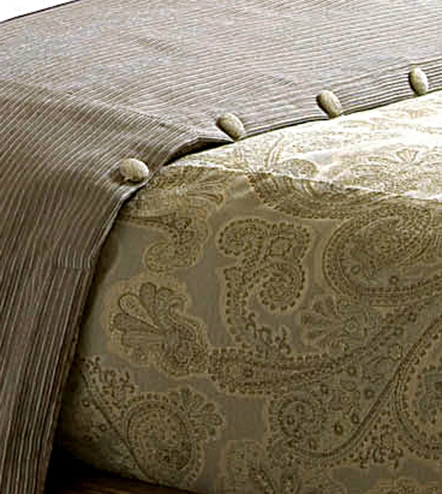 Dothan Paisley Duvet Cover (California King 104x100)