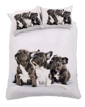 Frenchie Elegant Cotton-Rich Duvet Set with Vibrant Colours and Patterns for Bedroom Transformation Single Double King by OLIVIA ROCCO