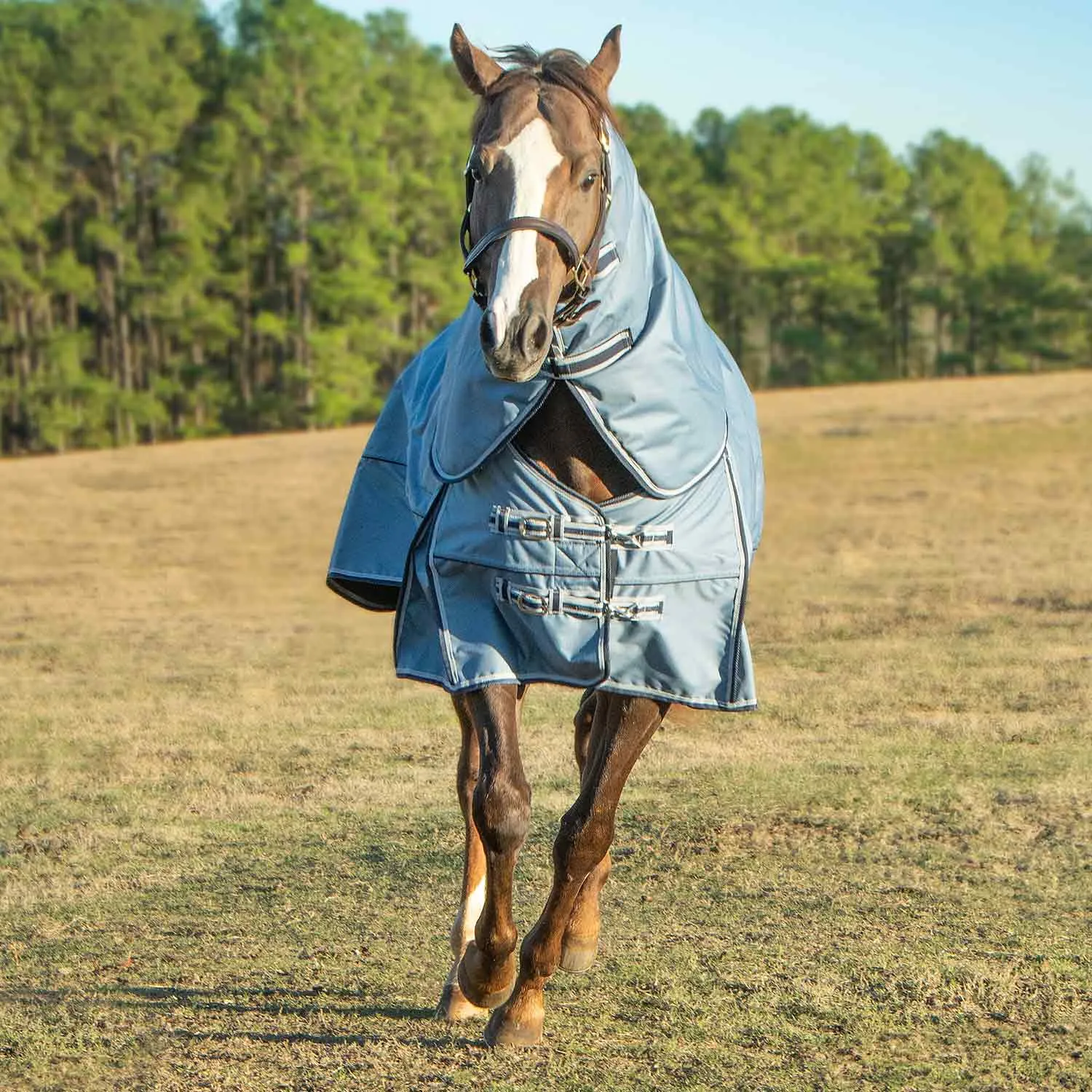 Jeffers Poplar Head Refuge 1200 Denier Turnout Blanket with Detachable Neck, 360 Gram, Hamilton Blue