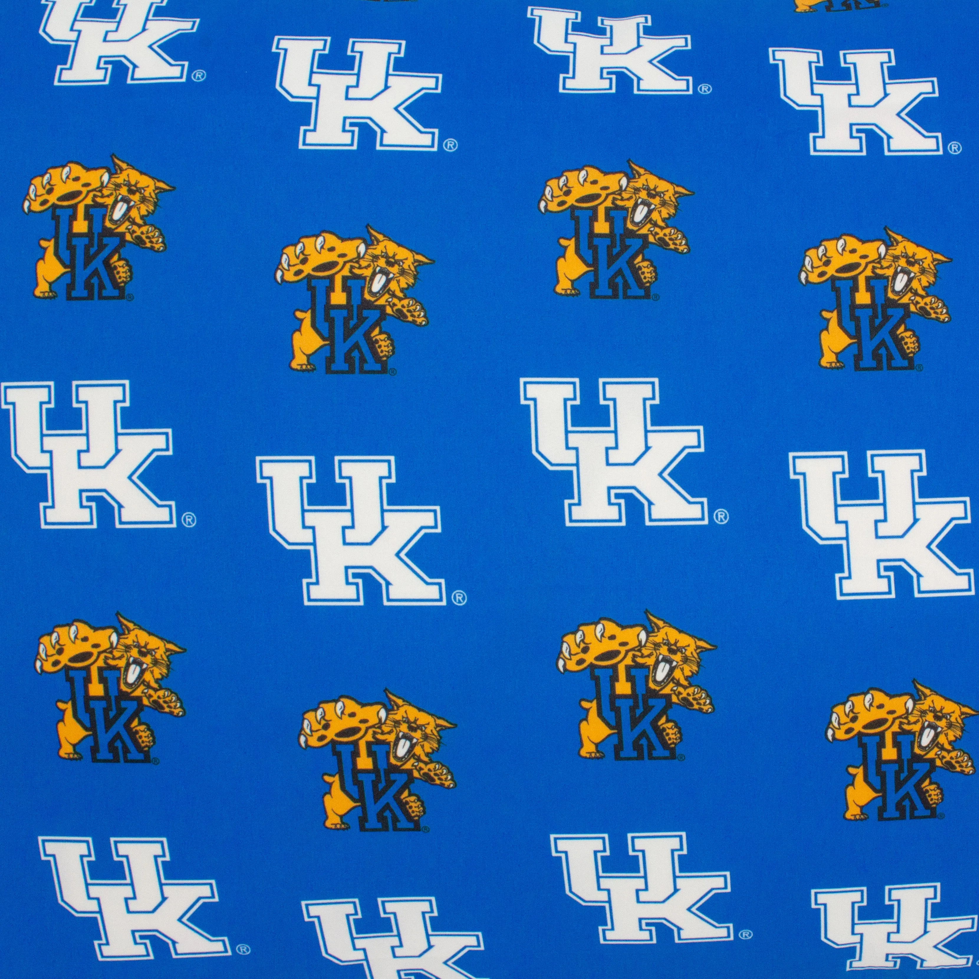 Kentucky Wildcats Body Pillow Pillowcase