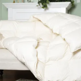 Natural Nights 800 Light Weight Down Comforters - Cal. King (115" x 110")