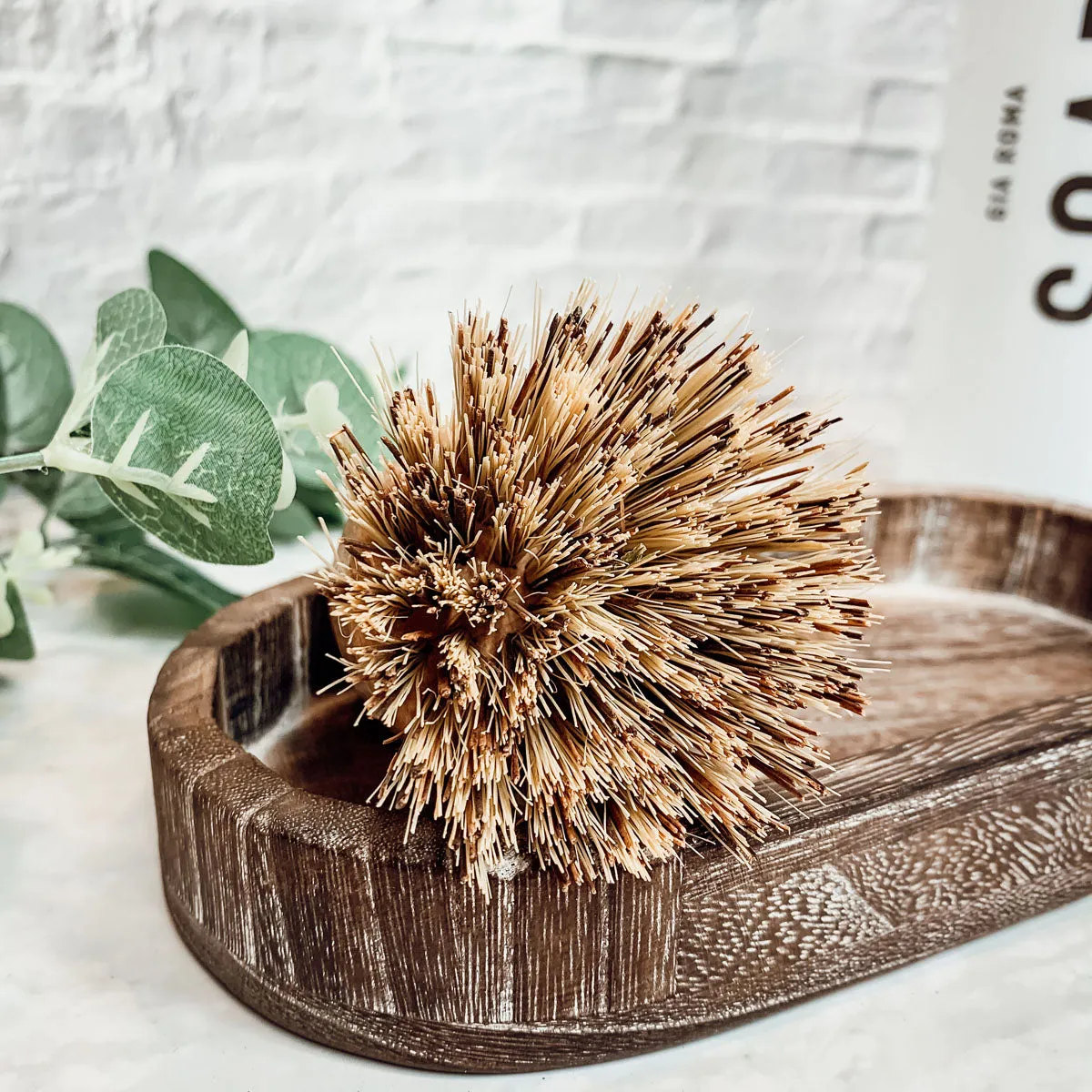 Natural Sisal Brush