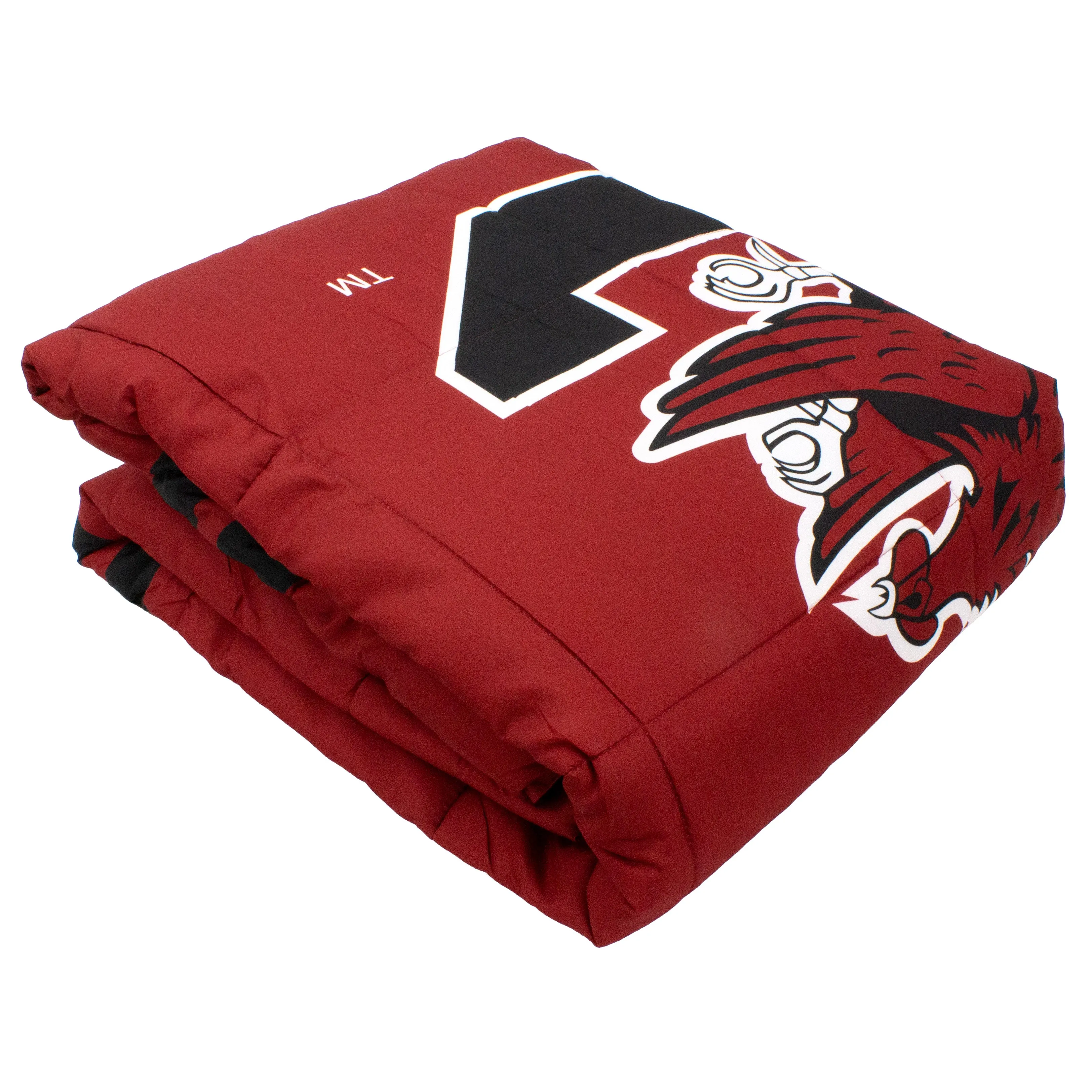 South Carolina Gamecocks Reversible Big Logo Soft and Colorful Comforter