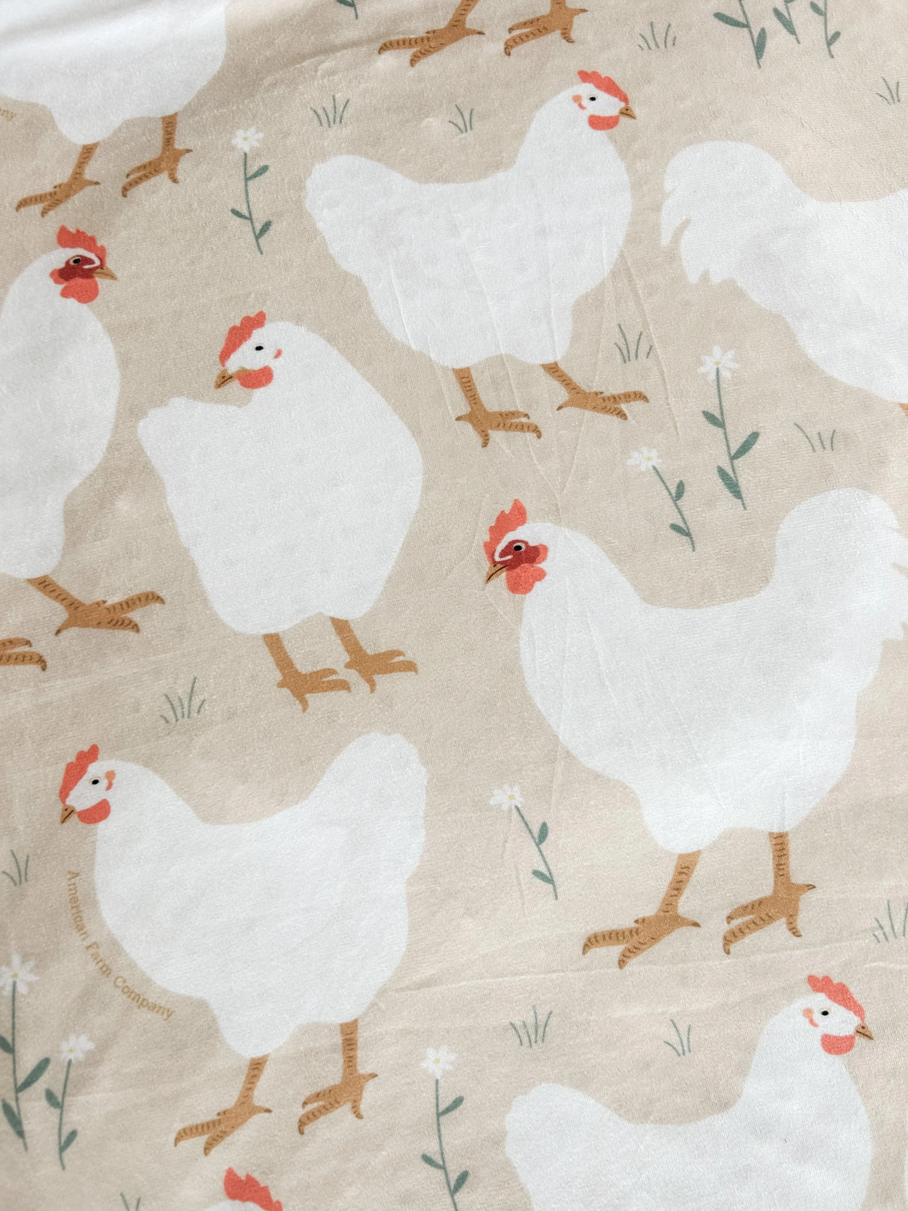 Spring Chicken Plush Blanket